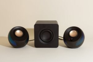 Computer Speaker