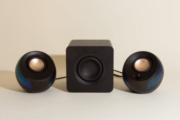 Computer Speaker