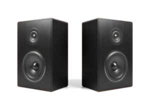 Double Speaker